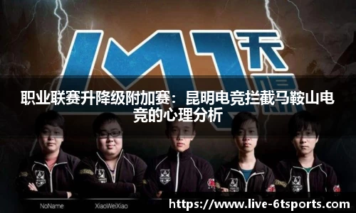 6T体育登录入口