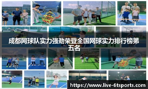 6T体育登录入口